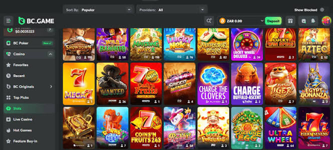 Unlocking Excitement A Comprehensive Guide to BC.Game Bonus Codes